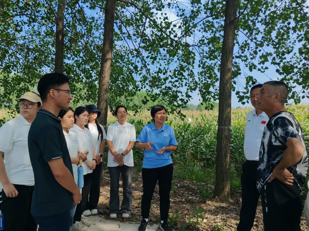 娱乐城app