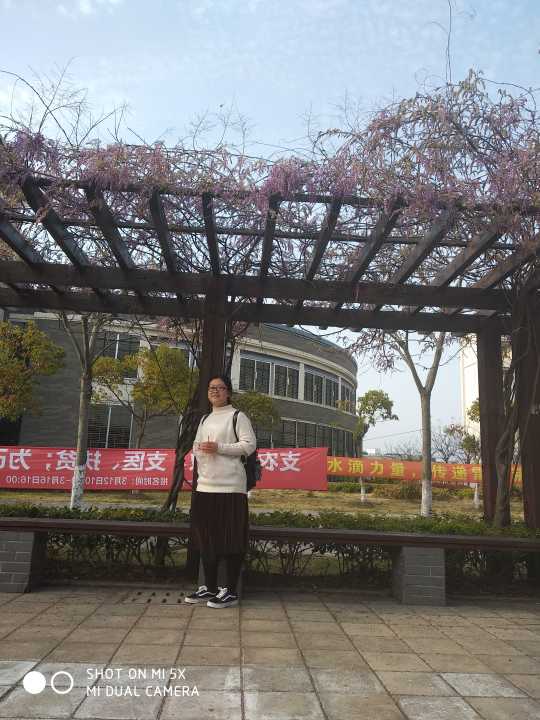 娱乐城app
